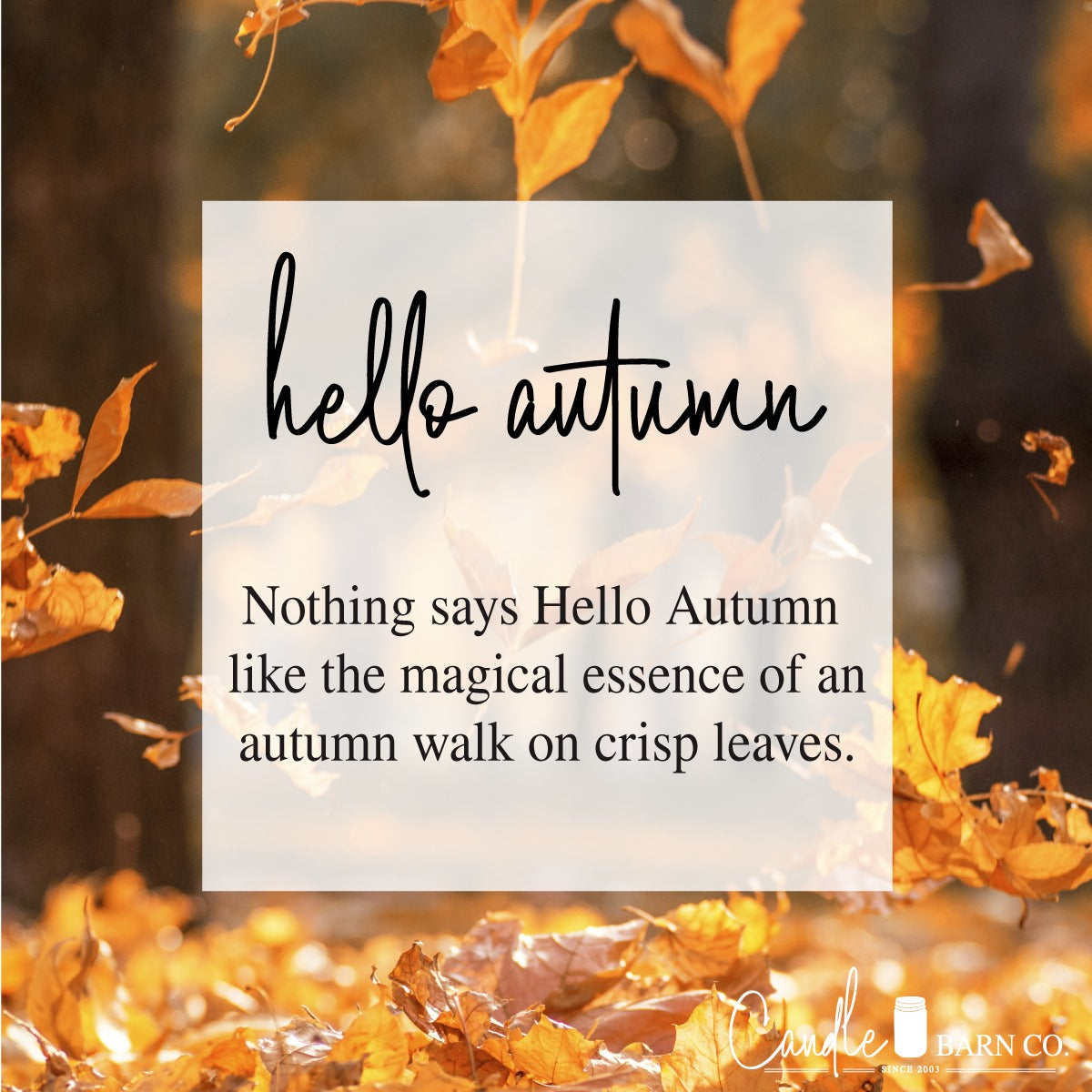 Hello Autumn Soy Candle